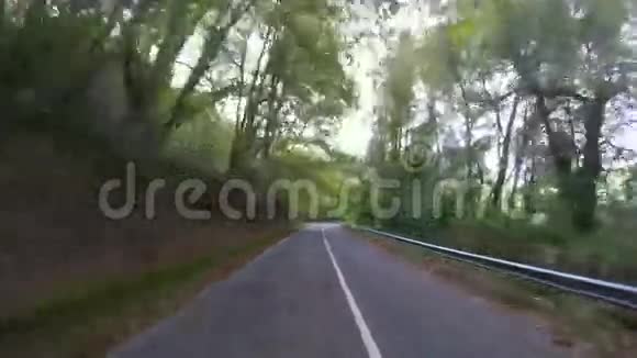 山路树木森林实时4k视频的预览图