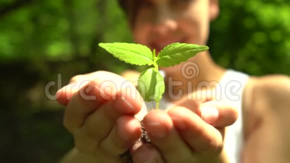 女孩用少量的绿色植物支撑着一小撮土壤视频的预览图