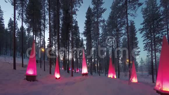 圣诞老人公园附近的森林冬天有手电筒时间流逝视频的预览图