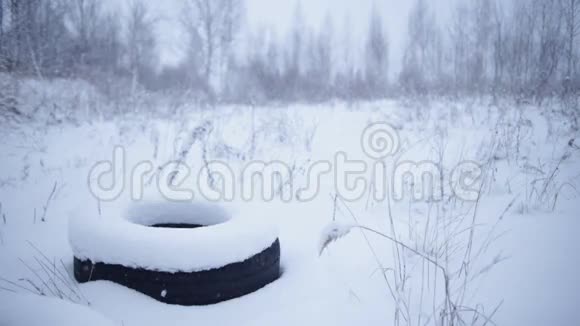 冬季景观带一个轮胎视频的预览图