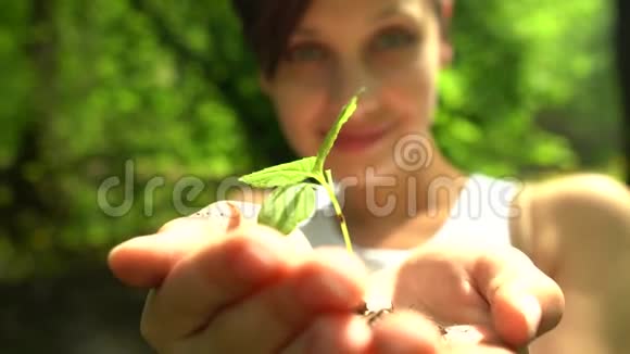 女孩用少量的绿色植物支撑着一小撮土壤视频的预览图