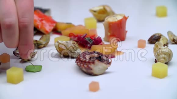 白色背景上蜗牛和章鱼的肖像视频的预览图