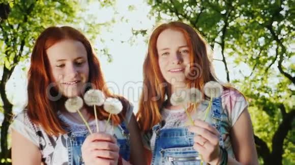 两个红色的双胞胎姐妹正在玩蒲公英花扇子吹在他们身上他们的头发照亮了太阳视频的预览图