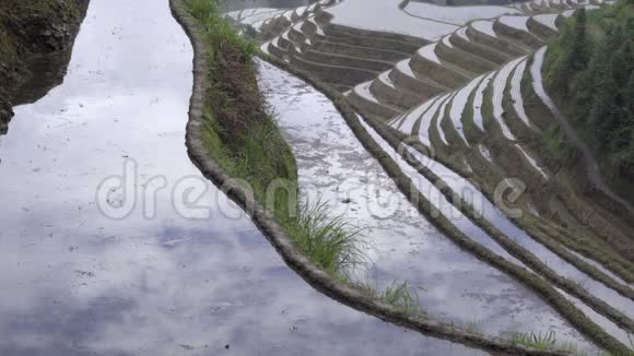 天空被水填满了稻田视频的预览图