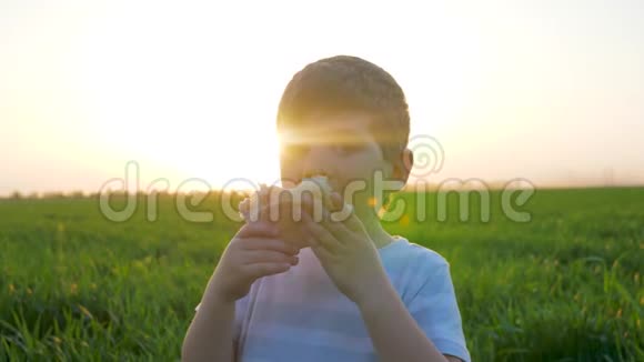 孩子们在田里吃面包小男孩在绿草里吃面包可爱的孩子在大自然中拿着面包店视频的预览图