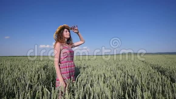 戴帽子的年轻女子站在麦田里背景是蓝天视频的预览图
