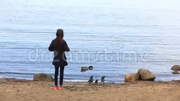 这个女孩在水库的岸边给一只鸭子喂鸭视频的预览图