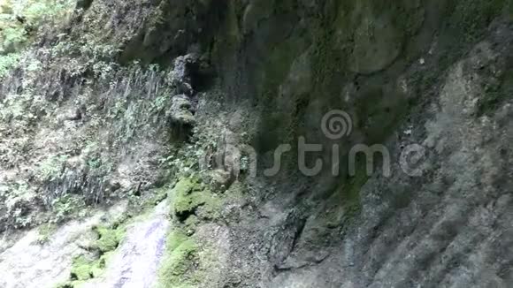 石壁上的小瀑布视频的预览图