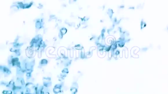 气泡在水中上升视频的预览图