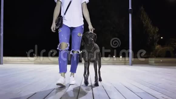 无法辨认的年轻女子和她的狗一起散步视频的预览图
