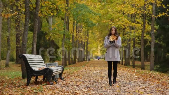 年轻女子收集她的一束黄叶坐在长凳上视频的预览图