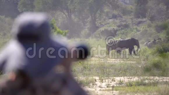 摄影师捕捉遥远的大象互动视频的预览图
