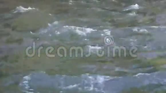 尤孔地区一条快速移动的河流视频的预览图