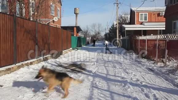 冬天年轻妇女和儿童在玩雪橇视频的预览图