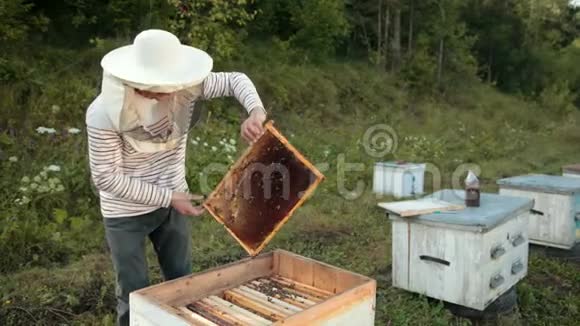 养蜂人站在蜂巢附近手里拿着一个蜂巢视频的预览图