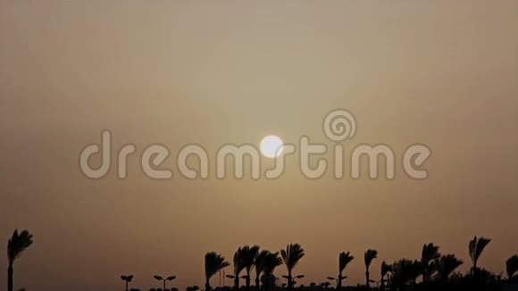 一个美丽的日出覆盖棕榈树在一个异国情调的国家时间推移视频的预览图