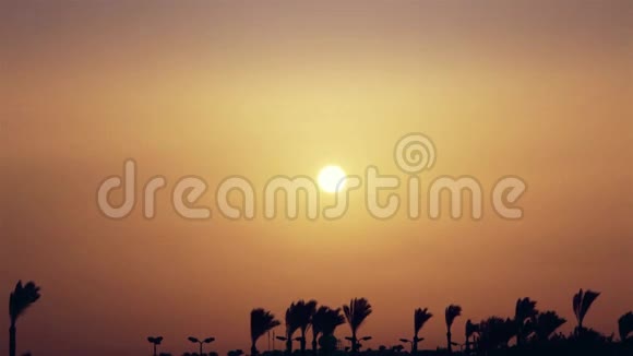 一个美丽的日出覆盖棕榈树在一个异国情调的国家时间推移视频的预览图