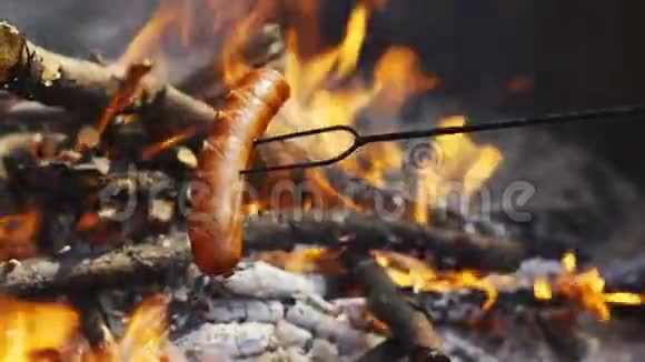在森林的篝火上烤的美味香肠视频的预览图