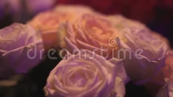 婚礼花束白玫瑰剪辑白色玫瑰特写的花瓣白色新鲜玫瑰的特写镜头视频的预览图