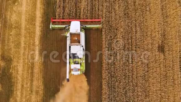 空中景色夏季小麦收获田间劳动的收割者联合收割机农用机器视频的预览图