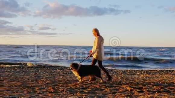 慢镜头年轻的女人和他心爱的狗沿着湖边散步视频的预览图
