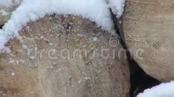 落在木头上的雪视频的预览图