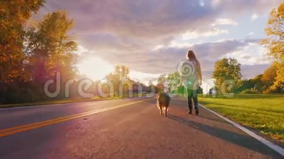 和狗在夕阳下散步年轻女子被澳大利亚牧羊犬拴在一片晴朗的天空上视频的预览图
