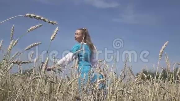 快乐的年轻苗条的女人穿着蓝色连衣裙的长发在夏天阳光明媚的日子里在成熟的麦子里旋转慢动作视频的预览图