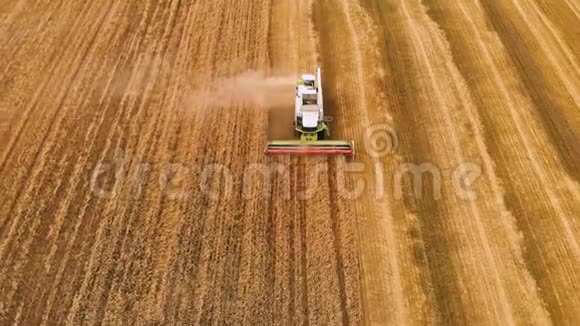 夏季小麦的鸟瞰收获田间劳动的收割者联合收割机农用机器视频的预览图