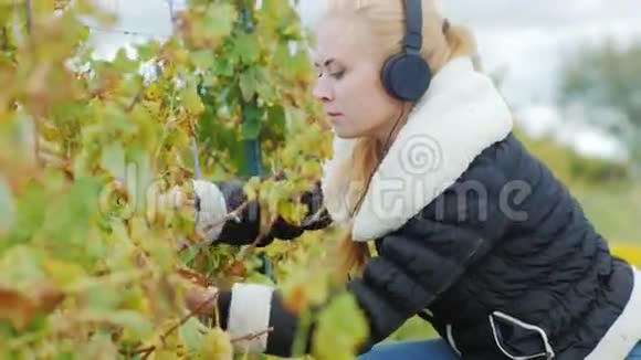 一位年轻女子的肖像她在葡萄园工作并在耳机上听音乐剪下的剪刀束视频的预览图