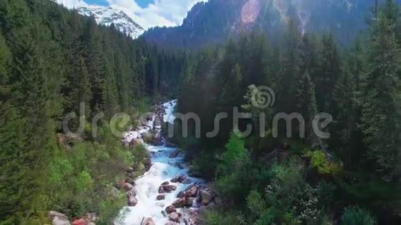 奥地利山区松林中一条河流的空中全景视频的预览图
