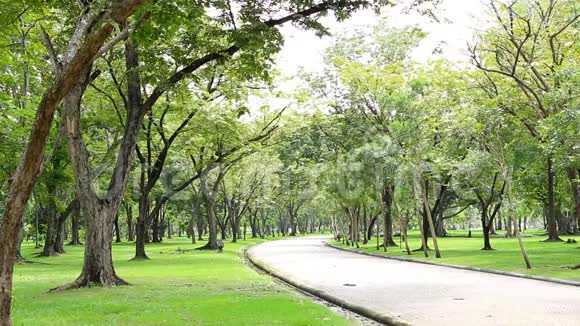 绿树成荫公园里美丽的早晨城市公园的放松点视频的预览图