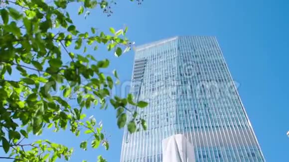 一片叶子和一座建筑库存现代办公大楼穿过一棵树的叶子商业和自然概念视频的预览图
