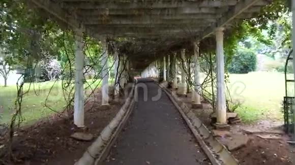 斯里兰卡的佩拉迪亚公园视频的预览图