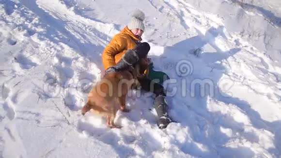 一个女孩在冬天的雪公园里和狗玩得很开心十几岁的女孩和狗躺在雪地里阳光明媚的霜天视频的预览图