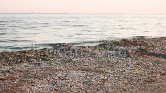 海边沙滩上有贝壳沙视频的预览图