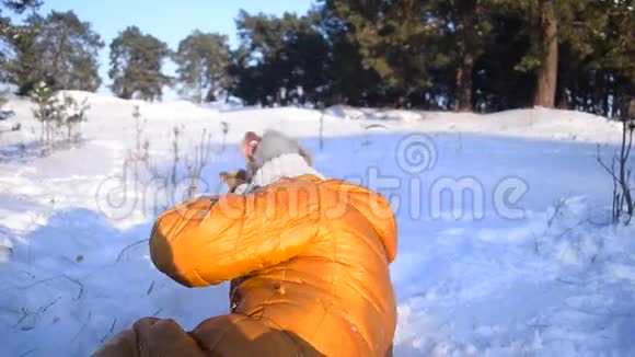 女孩在冬天的雪公园和狗玩得很开心狗偷了一顶帽子和一个有趣的女孩阳光明媚的霜天视频的预览图