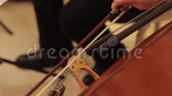 一个音乐家的手在一个长臂猿上演奏老式双低音演奏者的手在演奏长臂猿乐器视频的预览图