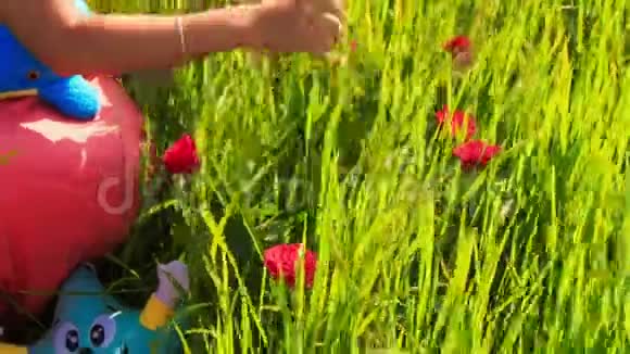 年轻漂亮的女士坐在绿草地上开着红花视频的预览图