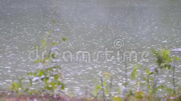 夏天河上的雨滴视频的预览图