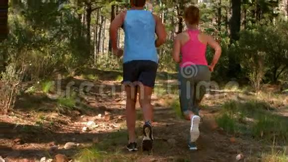 两对夫妇慢跑后景视频的预览图