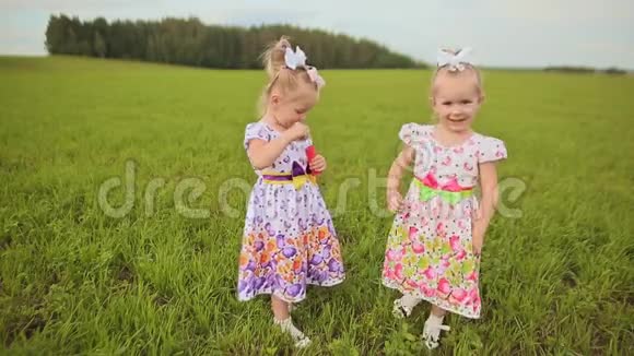 夏天两个迷人的小双胞胎姐妹在绿色的草地上吹肥皂泡视频的预览图