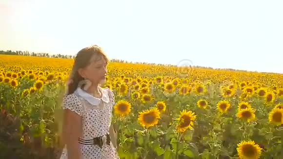 快乐的少女走在一片黄色的向日葵的田野里金色的向日葵在风中摇曳视频的预览图