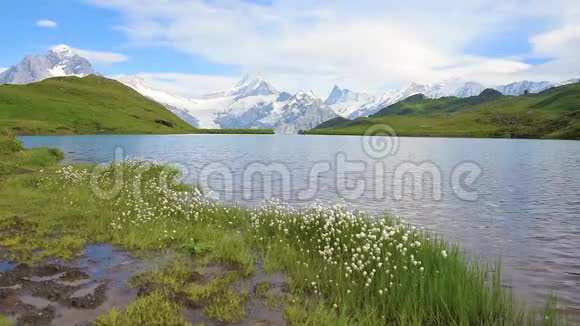 美丽的景观与波浪在瑞士阿尔卑斯山欧洲韦特霍恩SchreckhornFinsterahorn和Bachsee视频的预览图