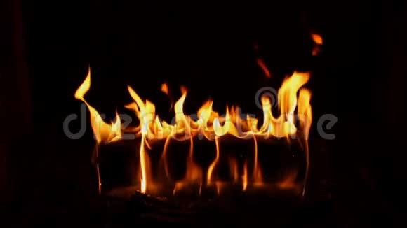橙色的五颜六色的火木火焰在近景中燃烧可爱的令人惊叹的舒适的原木在莫斯佩塞萨蒂菲壁炉视频的预览图