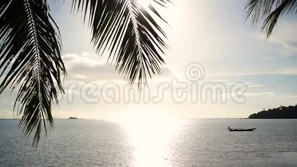 太阳光线穿过棕榈枝海岸上的热带树木日落时间视频的预览图