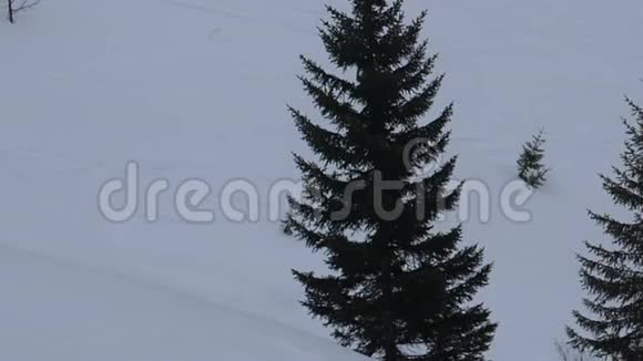 山上的冬季活动视频的预览图
