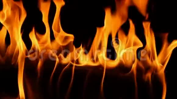 关闭慢镜头惊人的火木橙色火焰燃烧火焰燃烧在可爱的舒适的原木在莫斯佩瑟的壁炉视频的预览图
