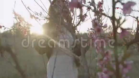 美丽的女孩穿着礼服和皮夹克摆在盛开的花园夕阳下视频的预览图