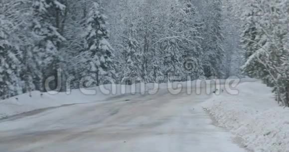 汽车沿着森林附近的冬季道路行驶视频的预览图